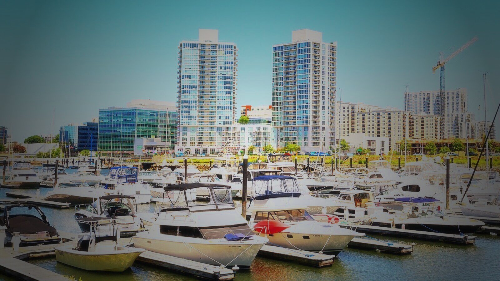 Harbor Point marina